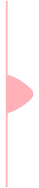 ikona ikona