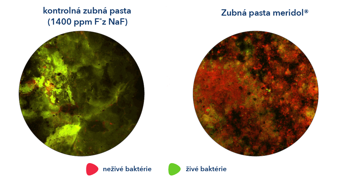 Antibakteriálna účinnosť technológie